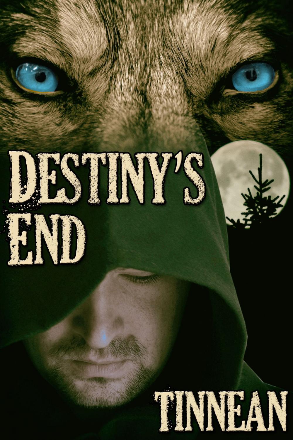 Big bigCover of Destiny's End