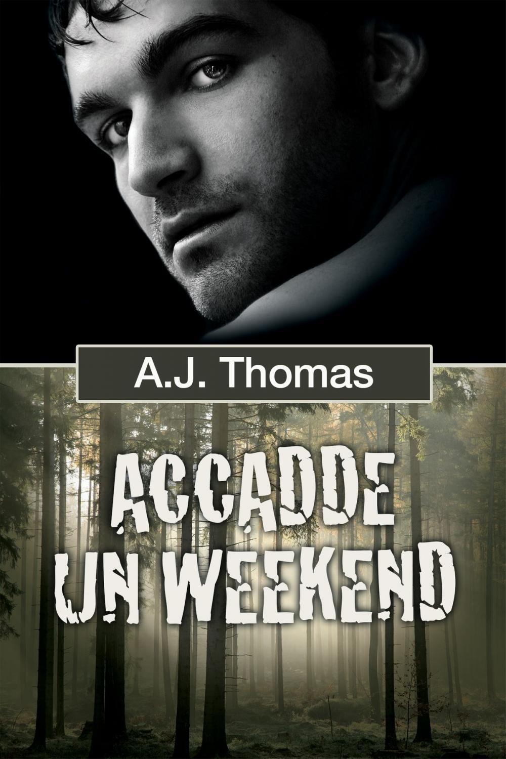 Big bigCover of Accadde un weekend