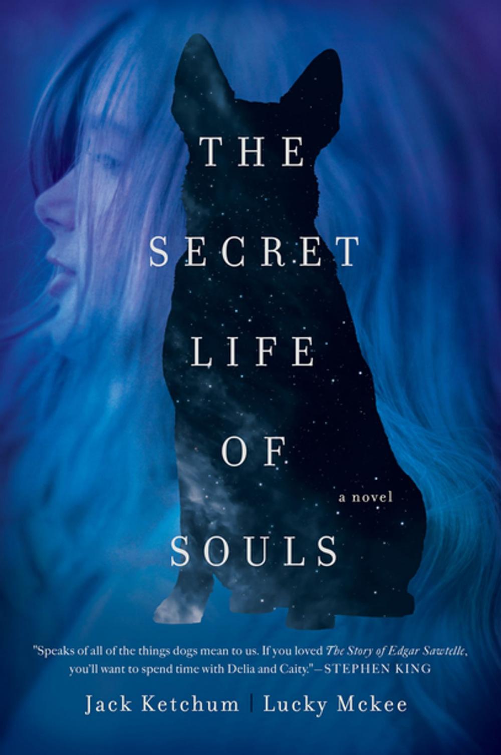 Big bigCover of The Secret Life of Souls: A Novel