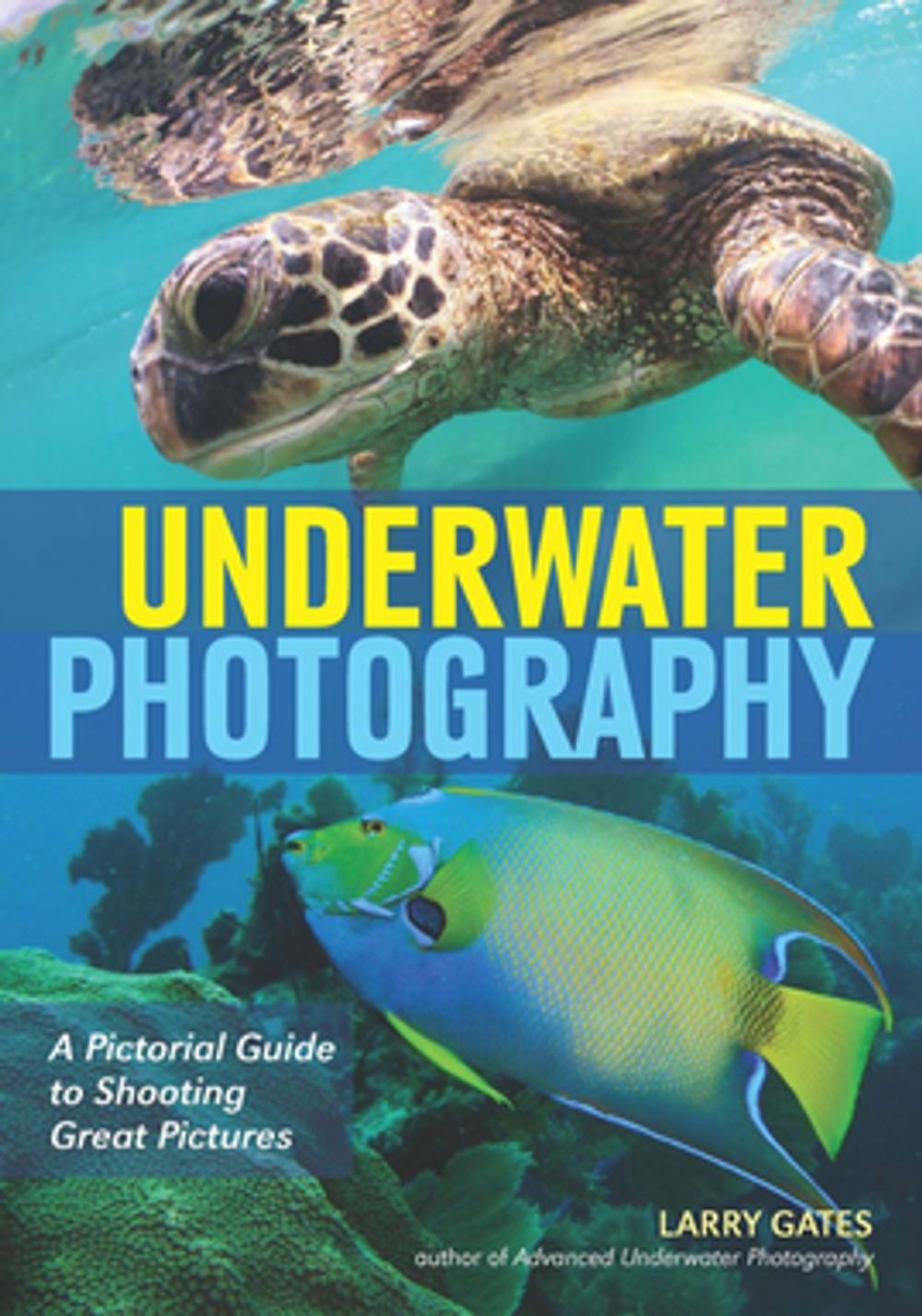 Big bigCover of Underwater Photography