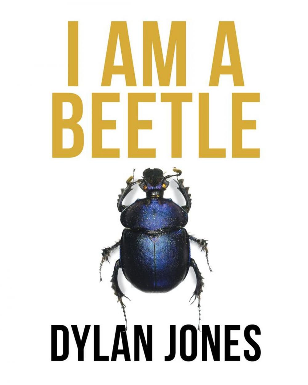 Big bigCover of I Am A Beetle