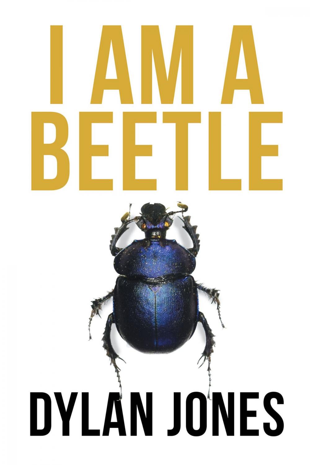 Big bigCover of I Am A Beetle