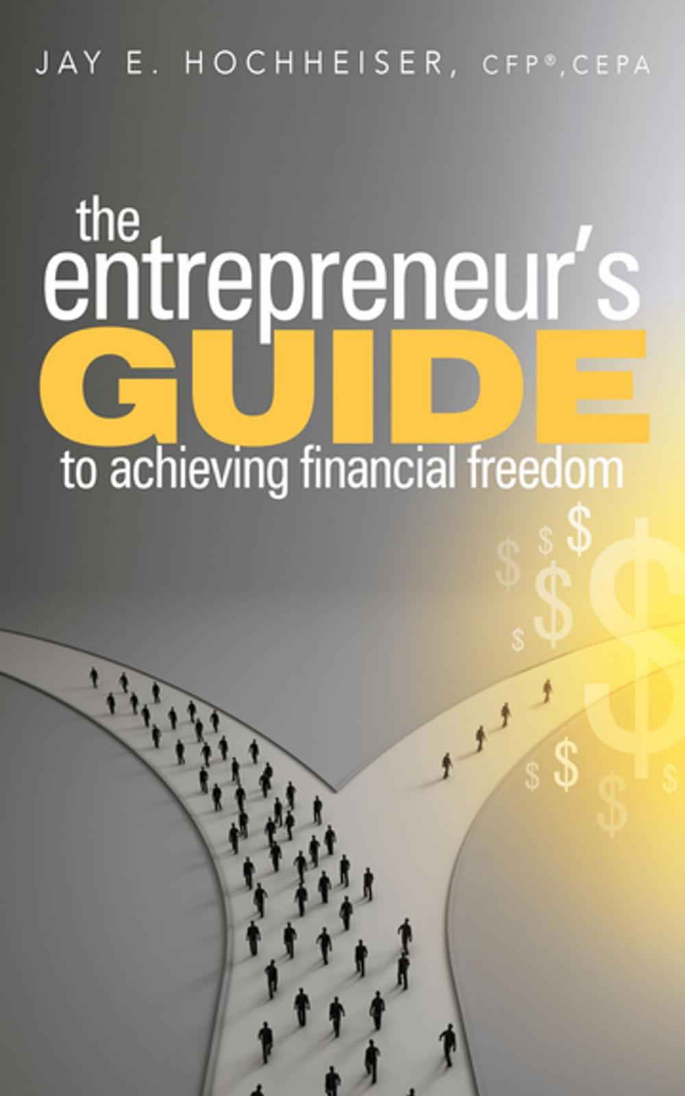 Big bigCover of The Entrepreneur's Guide to Achieving Financial Freedom