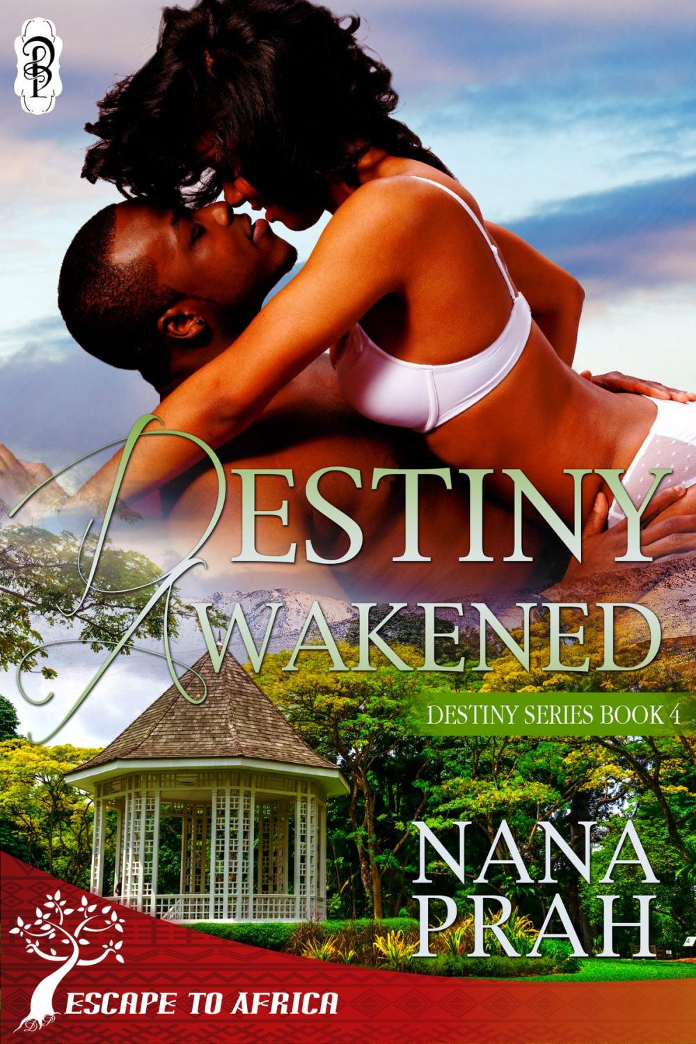 Big bigCover of Destiny Awakened (Destiny African Romance #4)