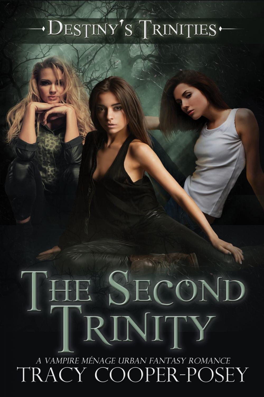 Big bigCover of The Second Trinity