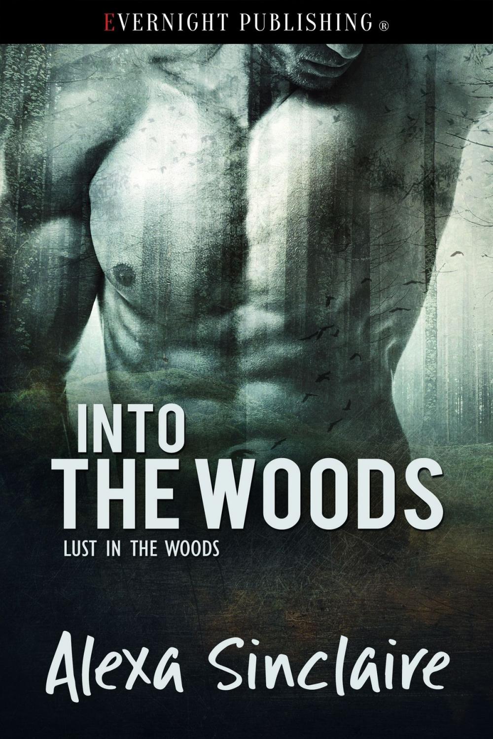 Big bigCover of Into the Woods