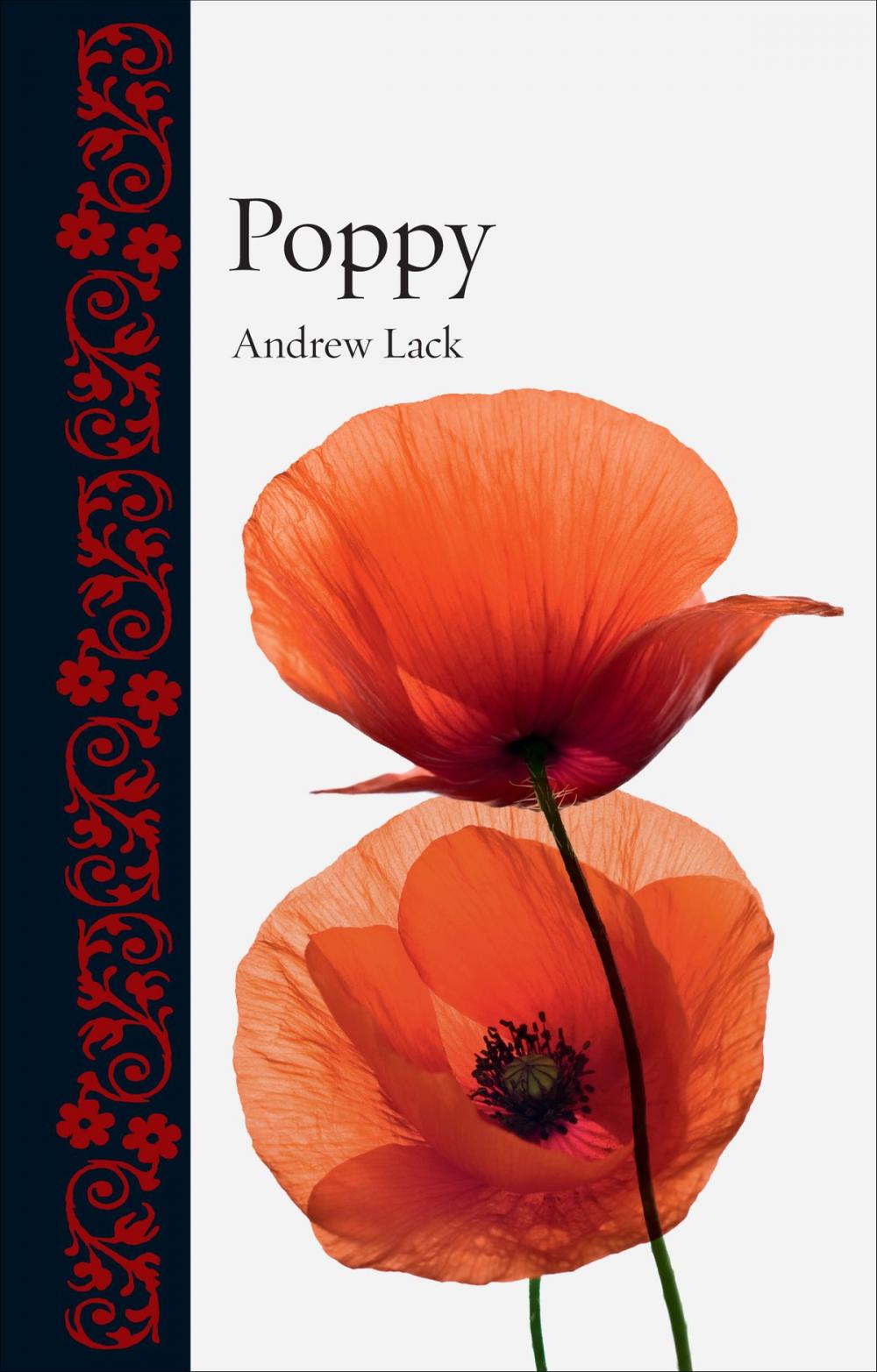 Big bigCover of Poppy