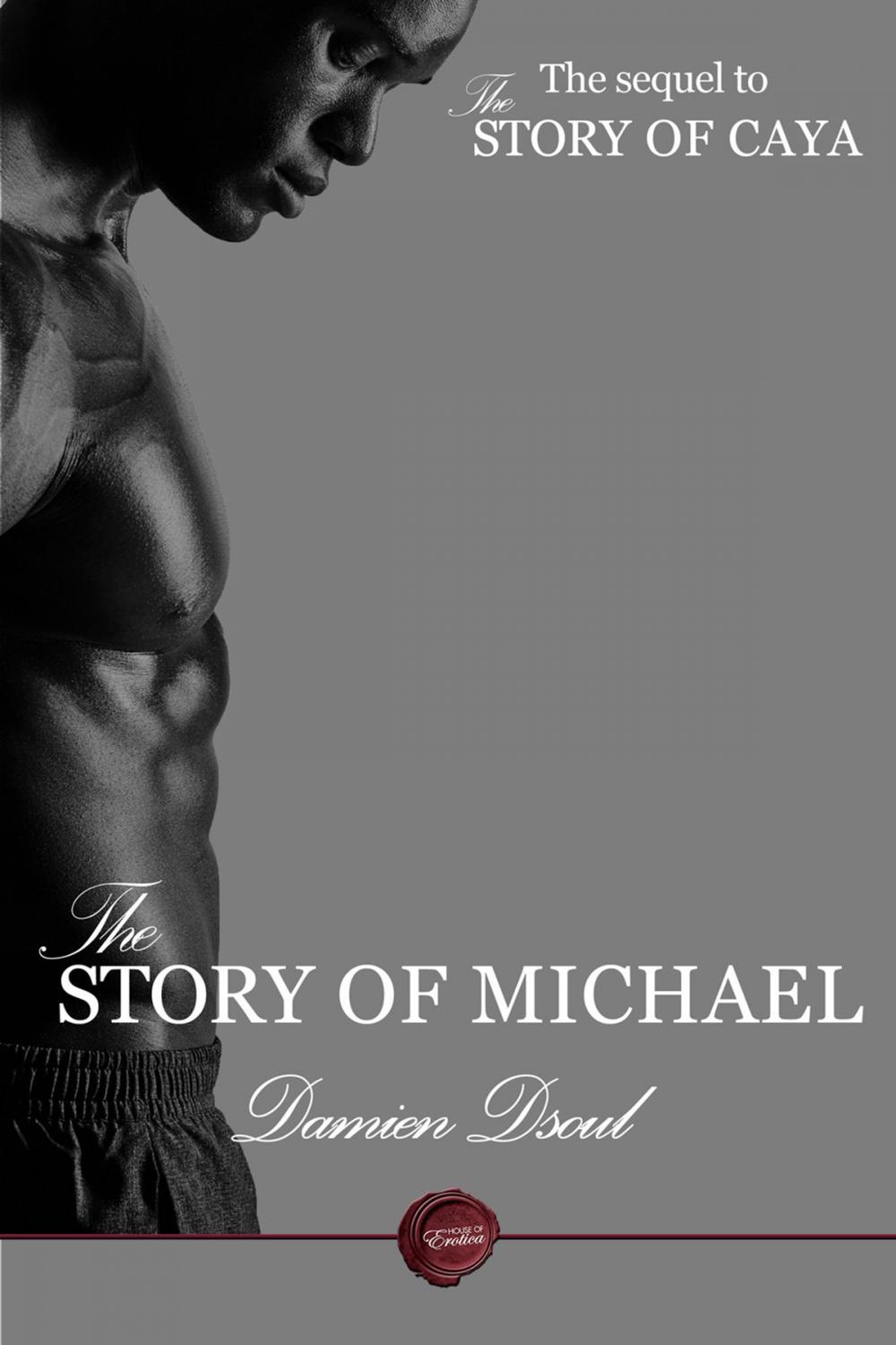 Big bigCover of The Story of Michael