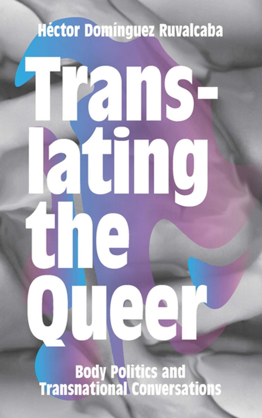 Big bigCover of Translating the Queer