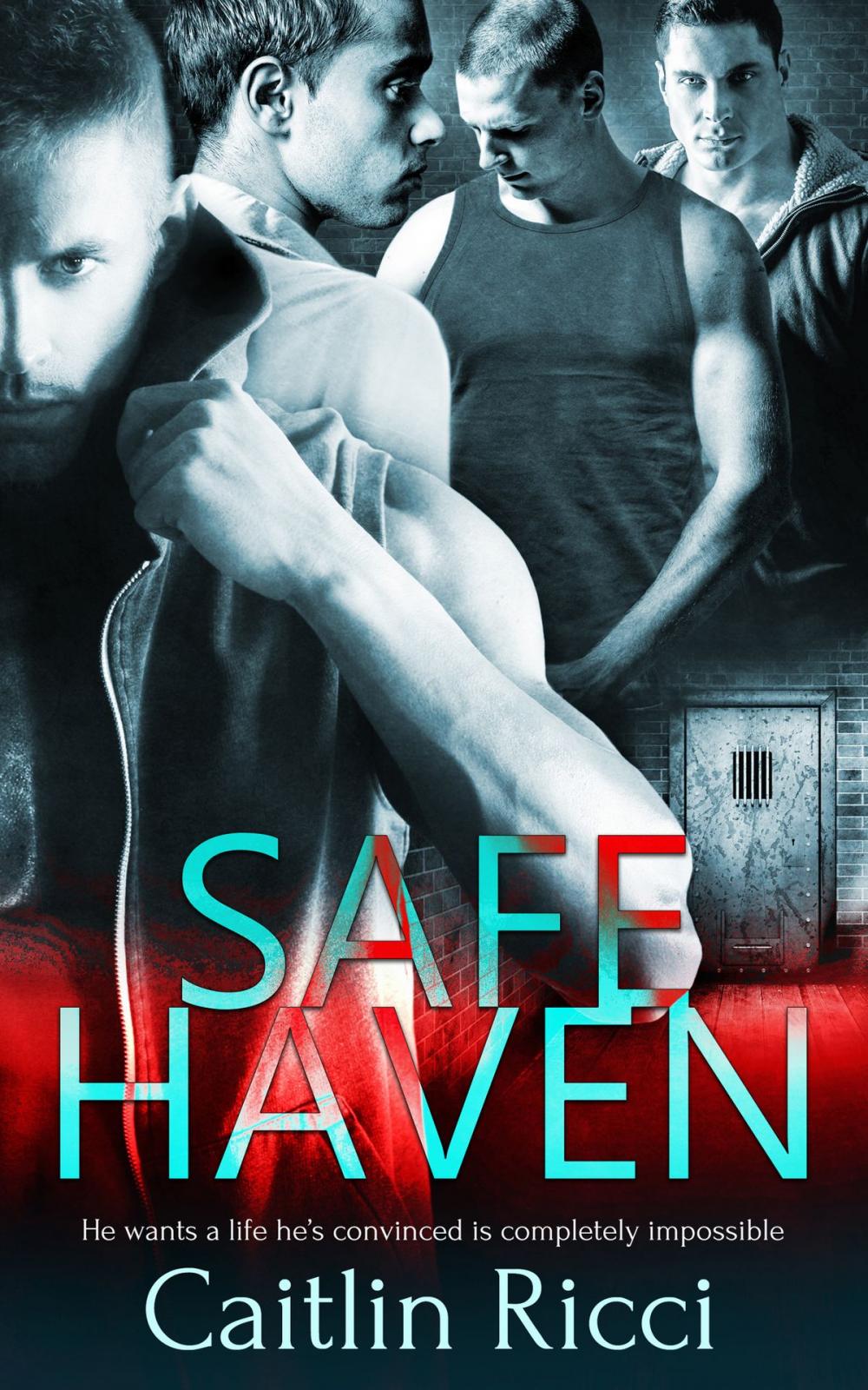 Big bigCover of Safe Haven