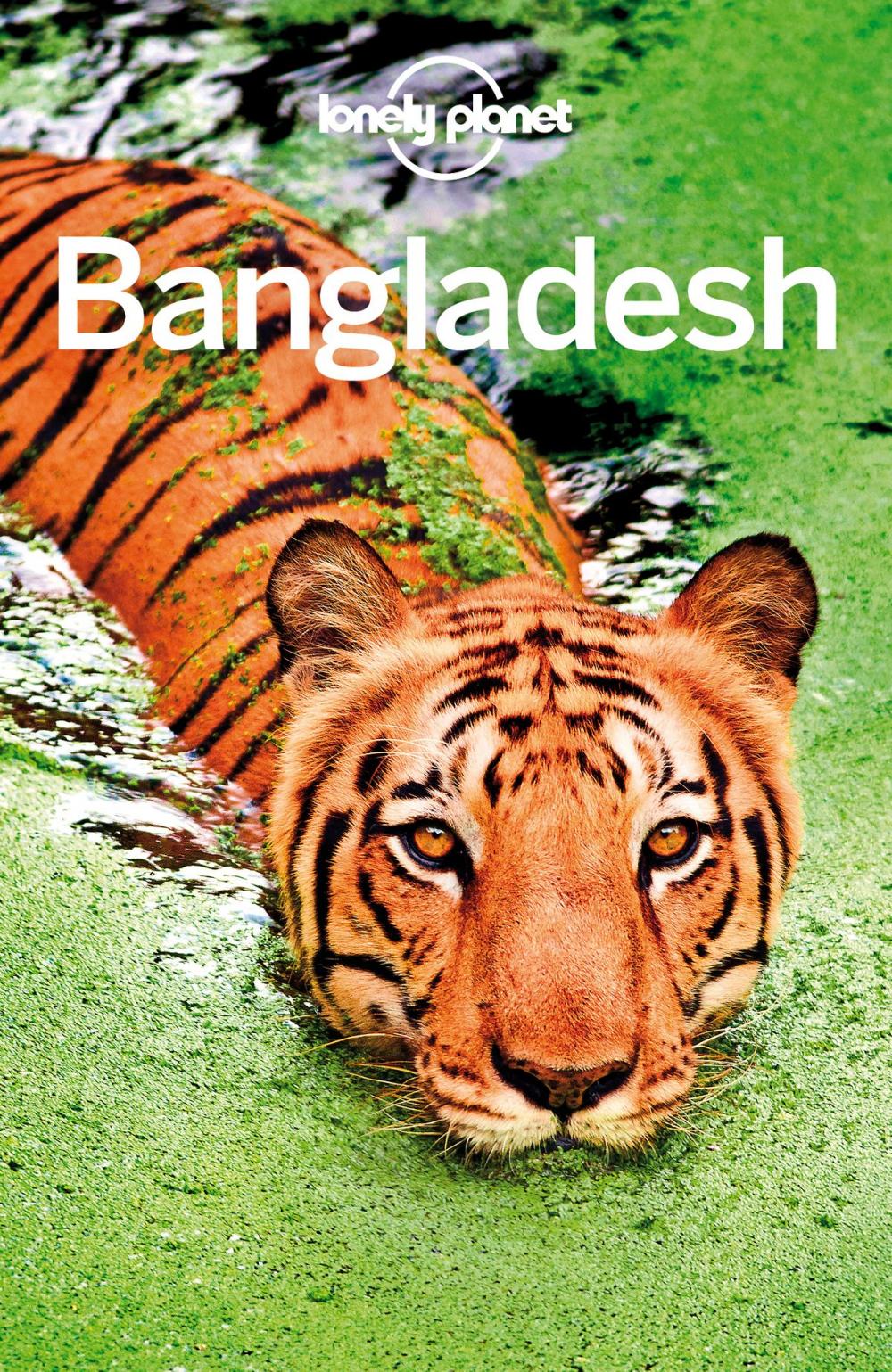 Big bigCover of Lonely Planet Bangladesh