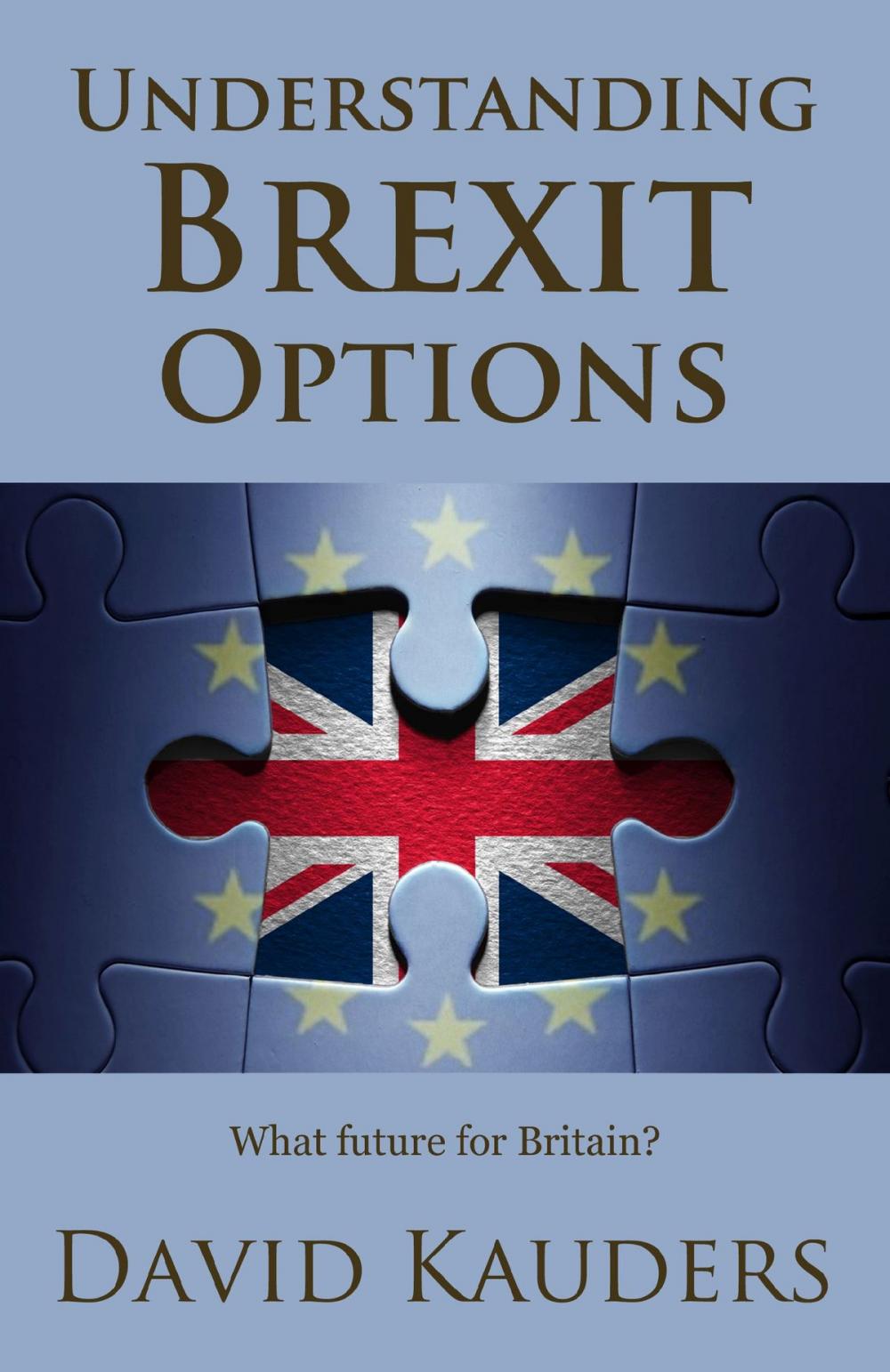 Big bigCover of Understanding Brexit Options