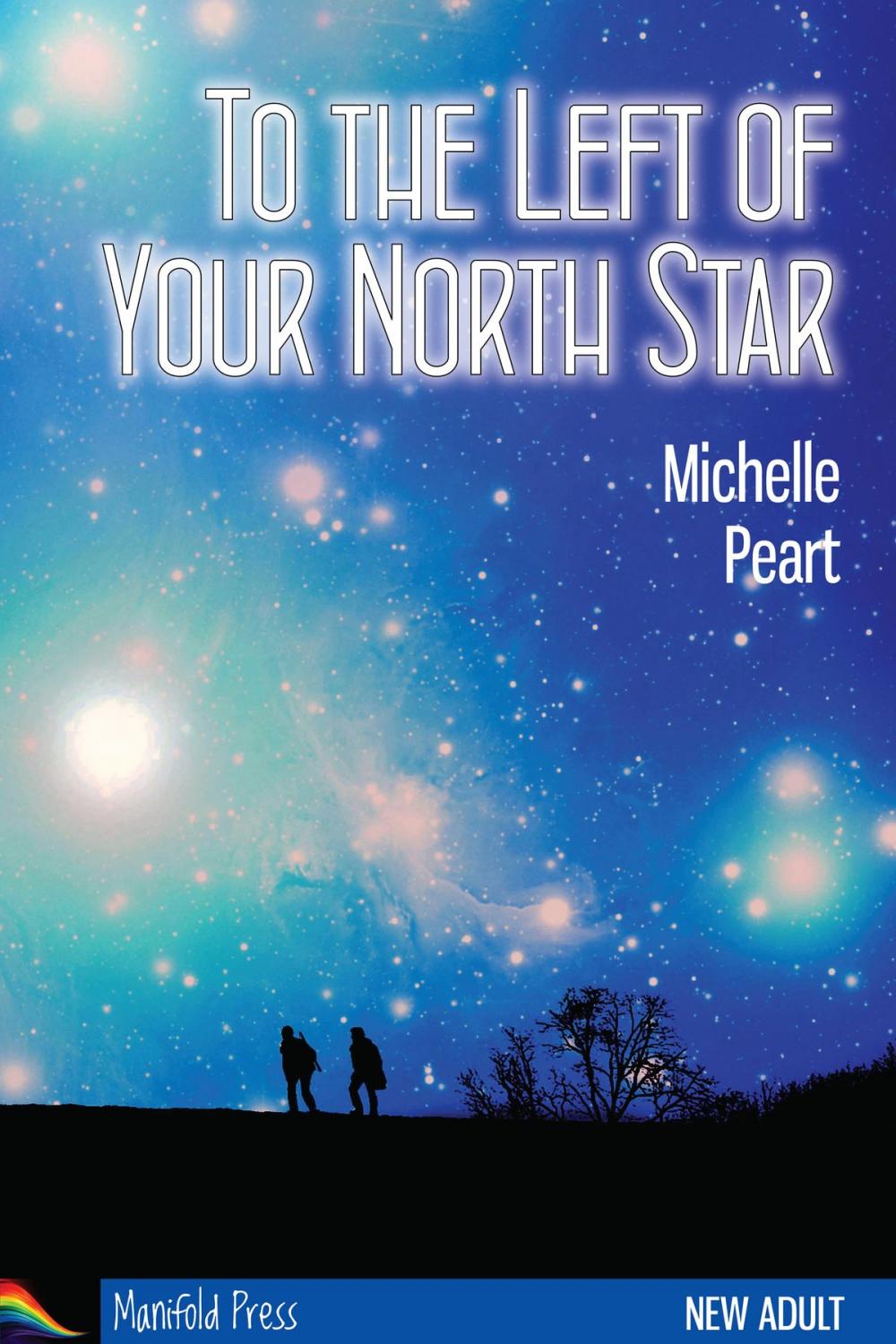 Big bigCover of To the Left of Your North Star