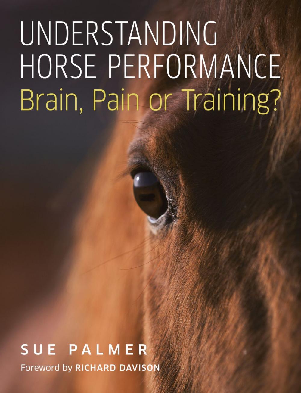 Big bigCover of Understanding Horse Performance