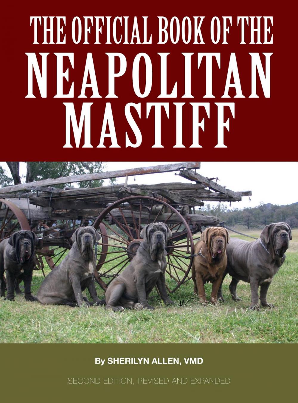 Big bigCover of The Official Book of the Neapolitan Mastiff