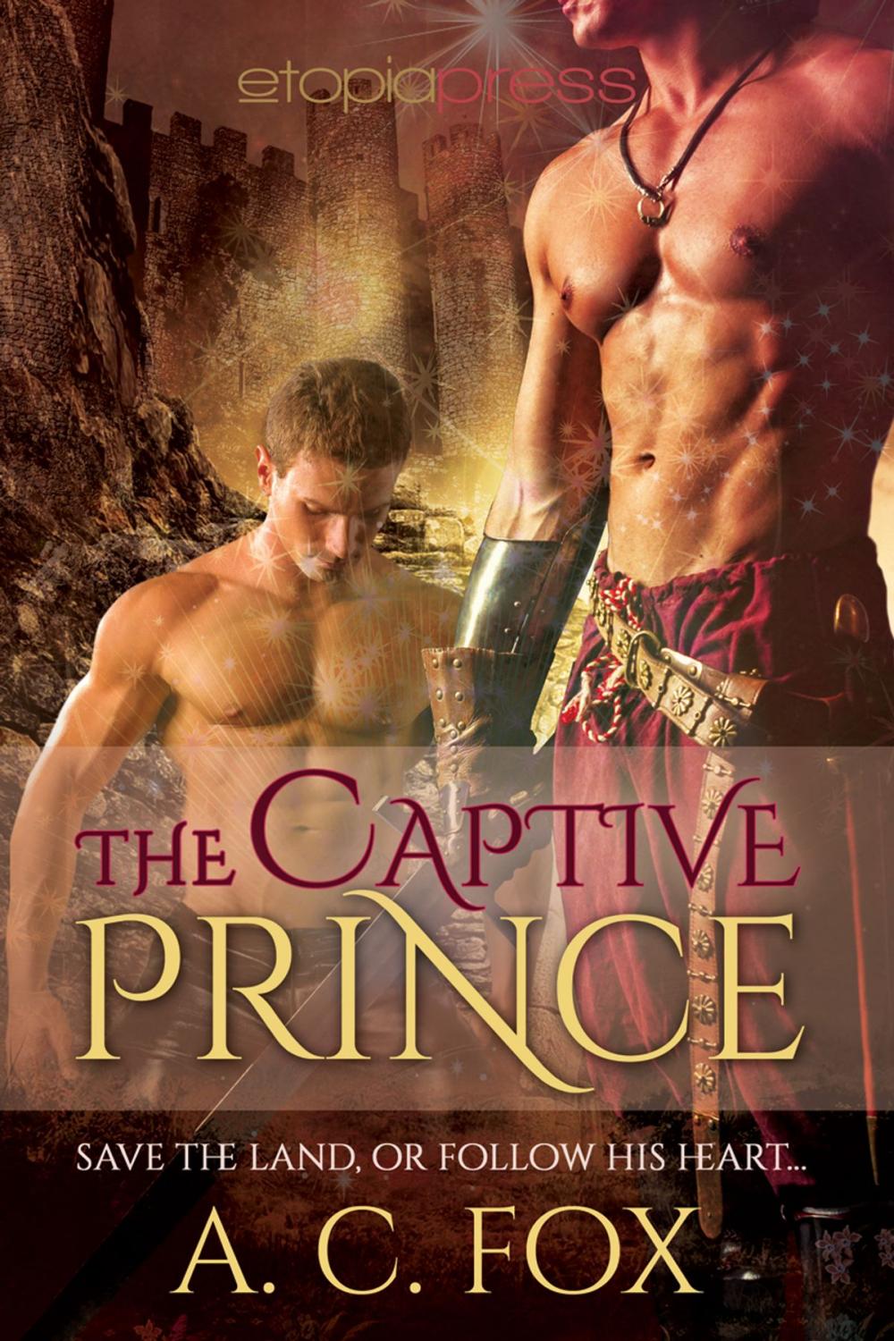 Big bigCover of The Captive Prince