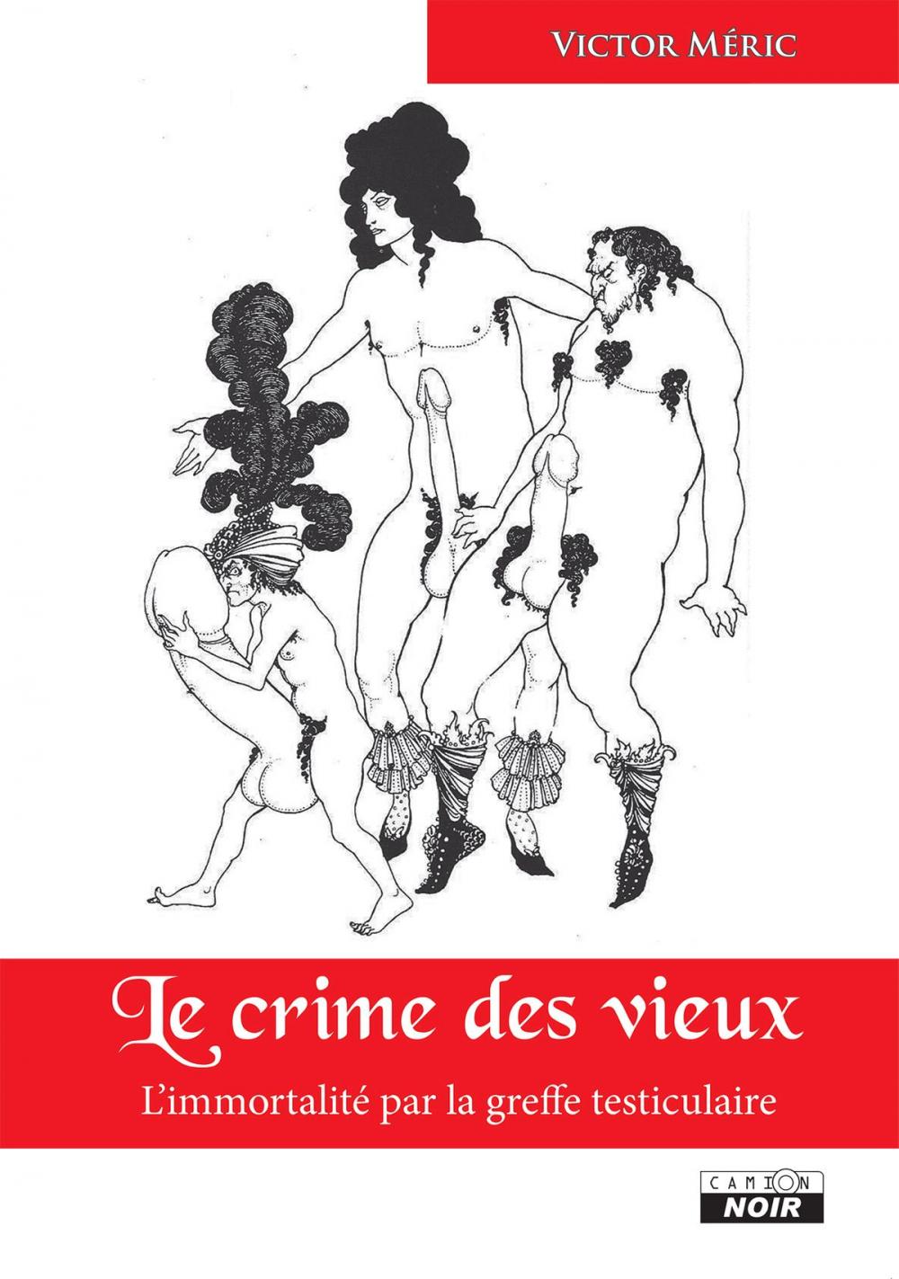 Big bigCover of Le crime des vieux