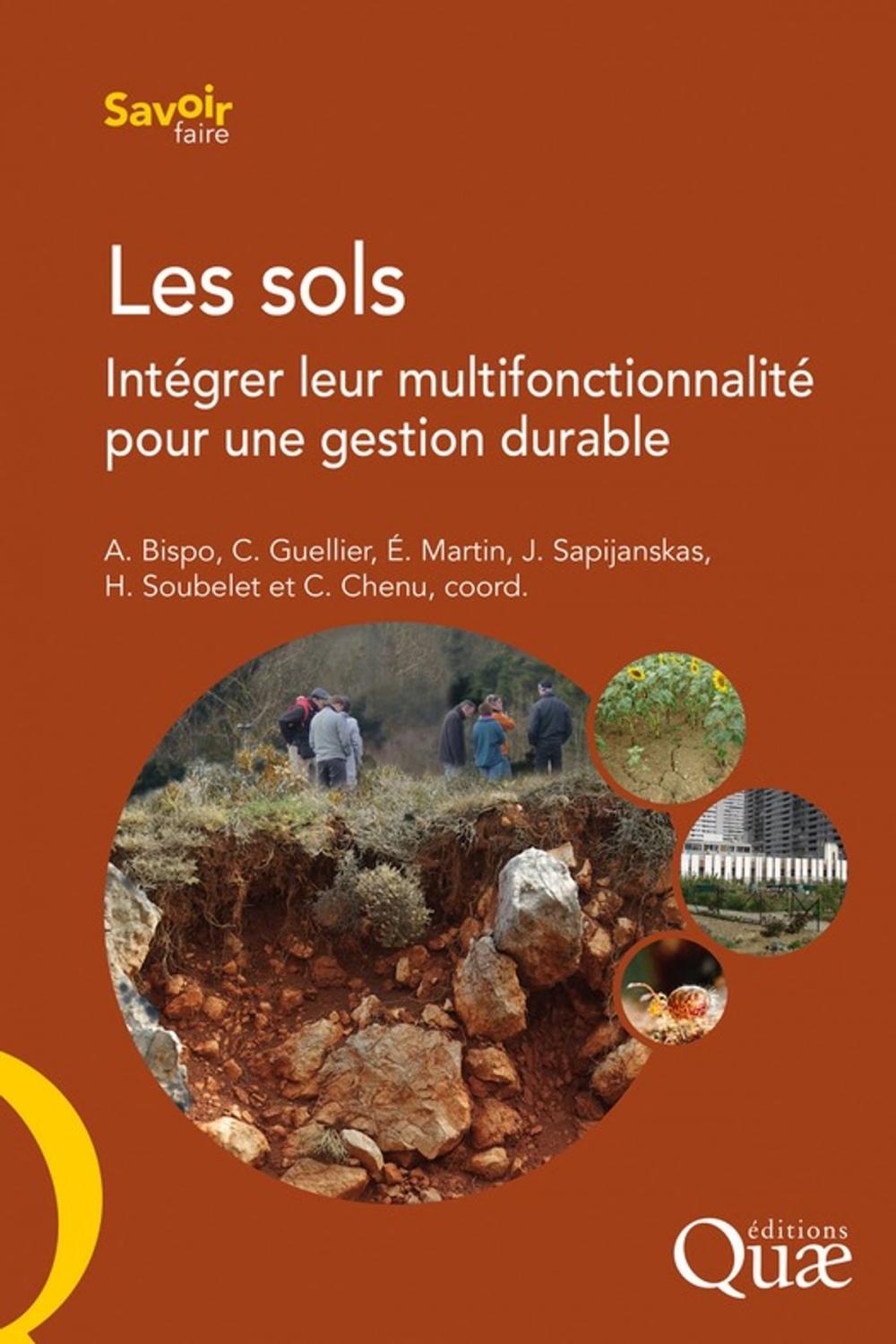 Big bigCover of Les sols