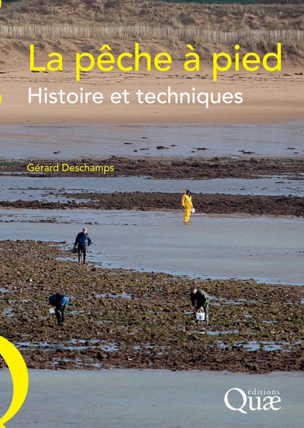 Big bigCover of La pêche à pied