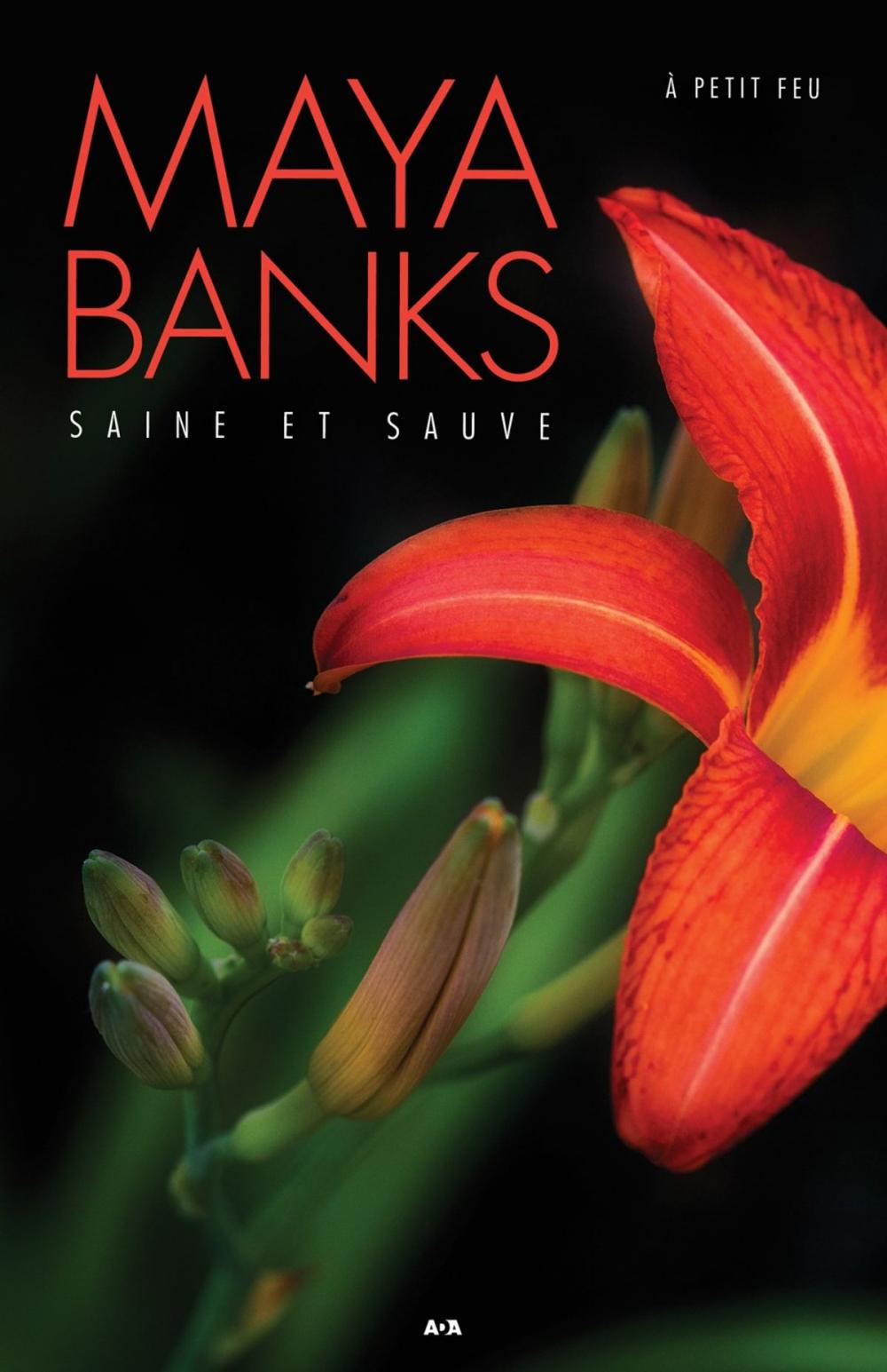 Big bigCover of Saine et sauve