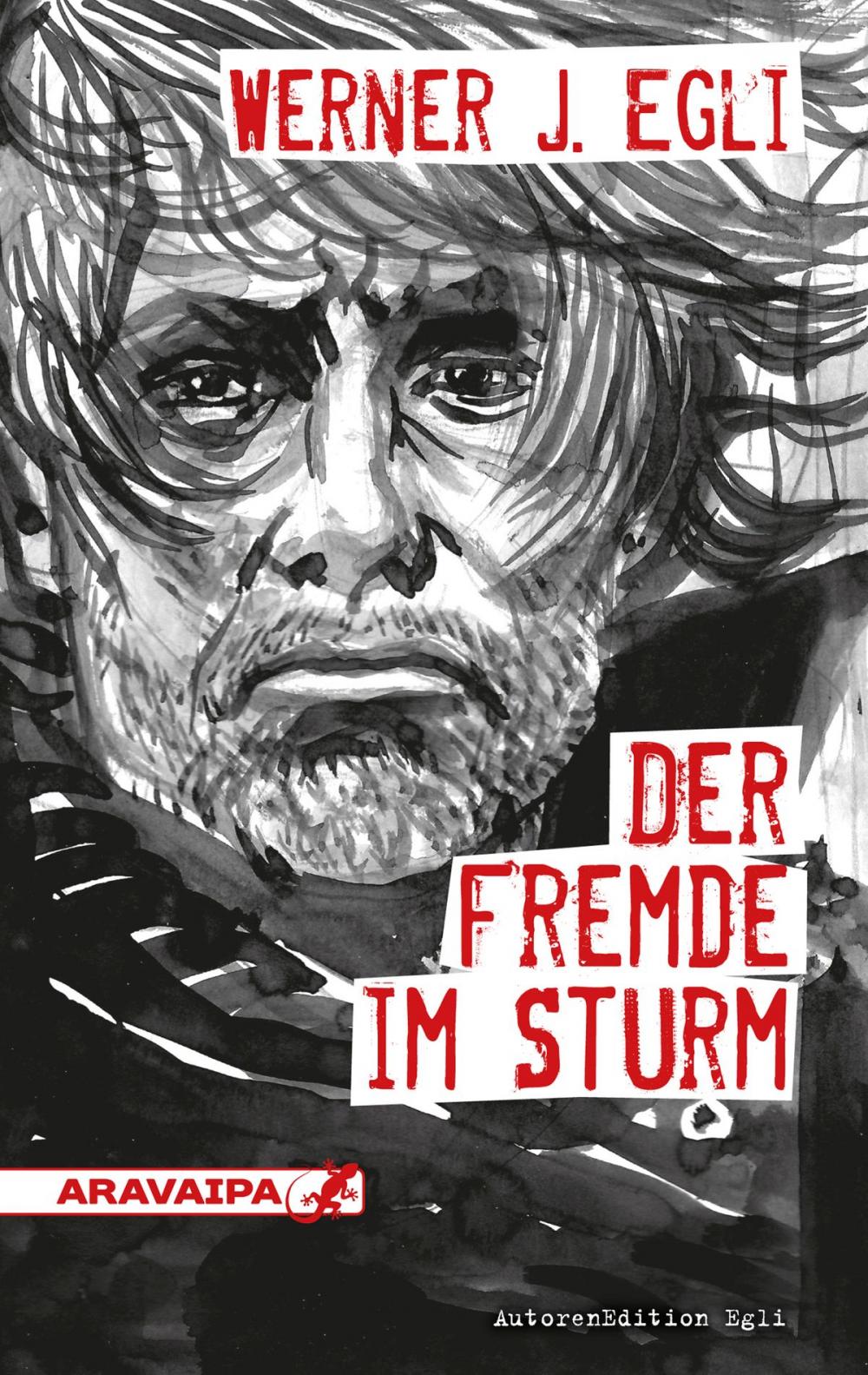 Big bigCover of Der Fremde im Sturm