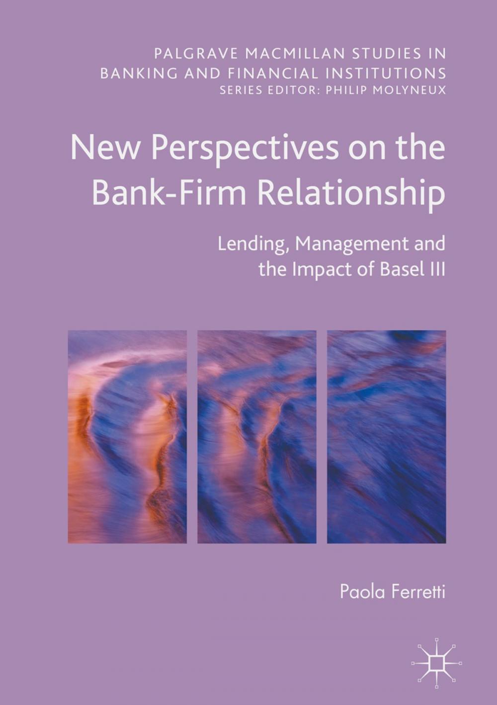 Big bigCover of New Perspectives on the Bank-Firm Relationship