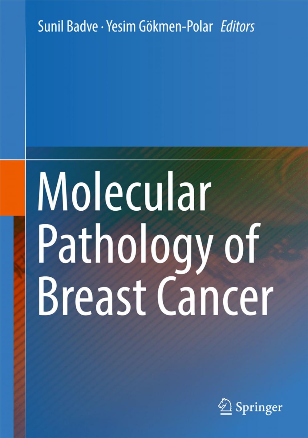 Big bigCover of Molecular Pathology of Breast Cancer