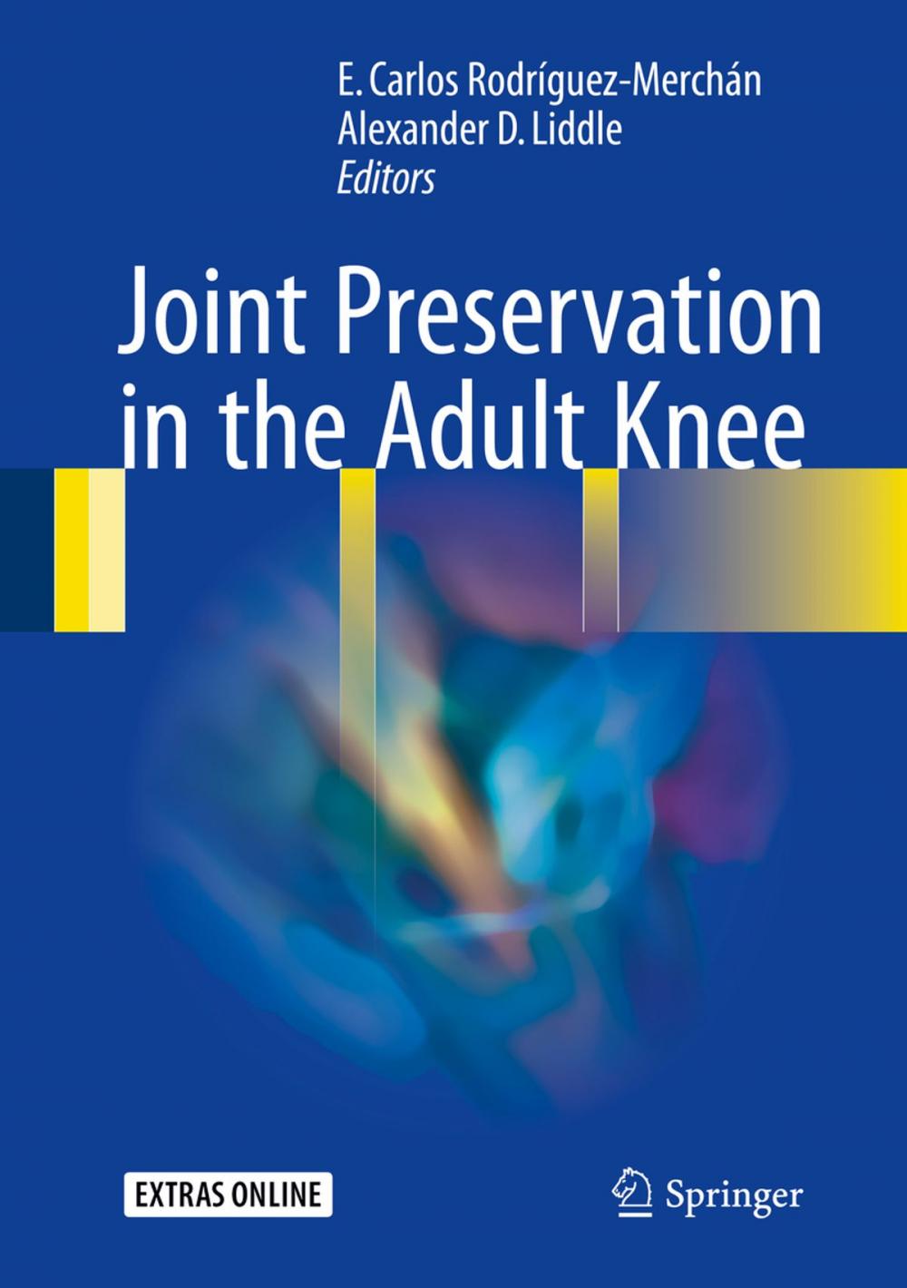 Big bigCover of Joint Preservation in the Adult Knee