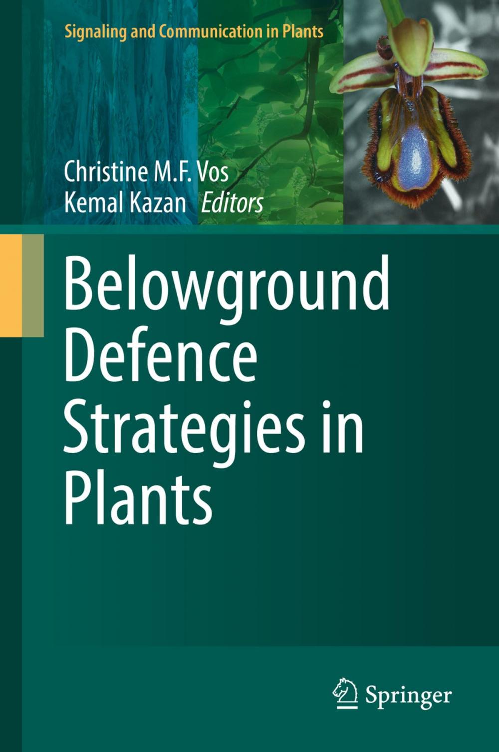 Big bigCover of Belowground Defence Strategies in Plants