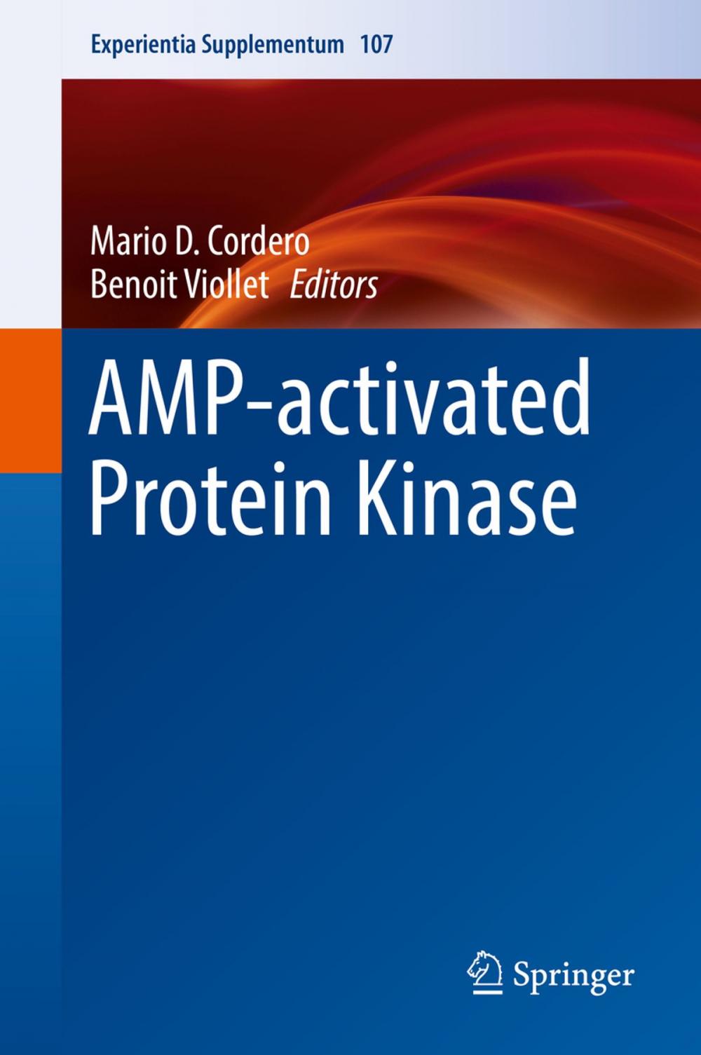 Big bigCover of AMP-activated Protein Kinase