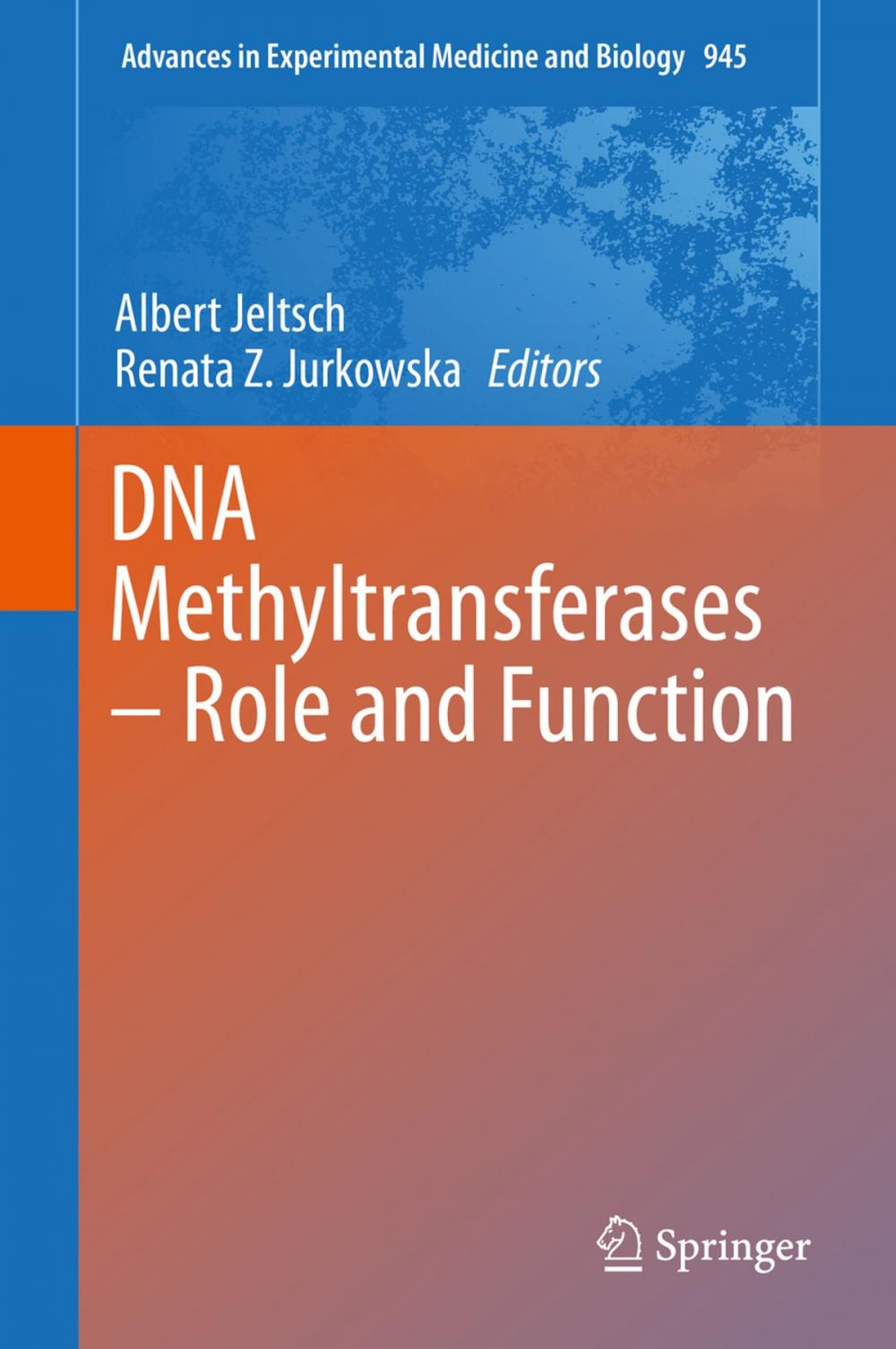 Big bigCover of DNA Methyltransferases - Role and Function