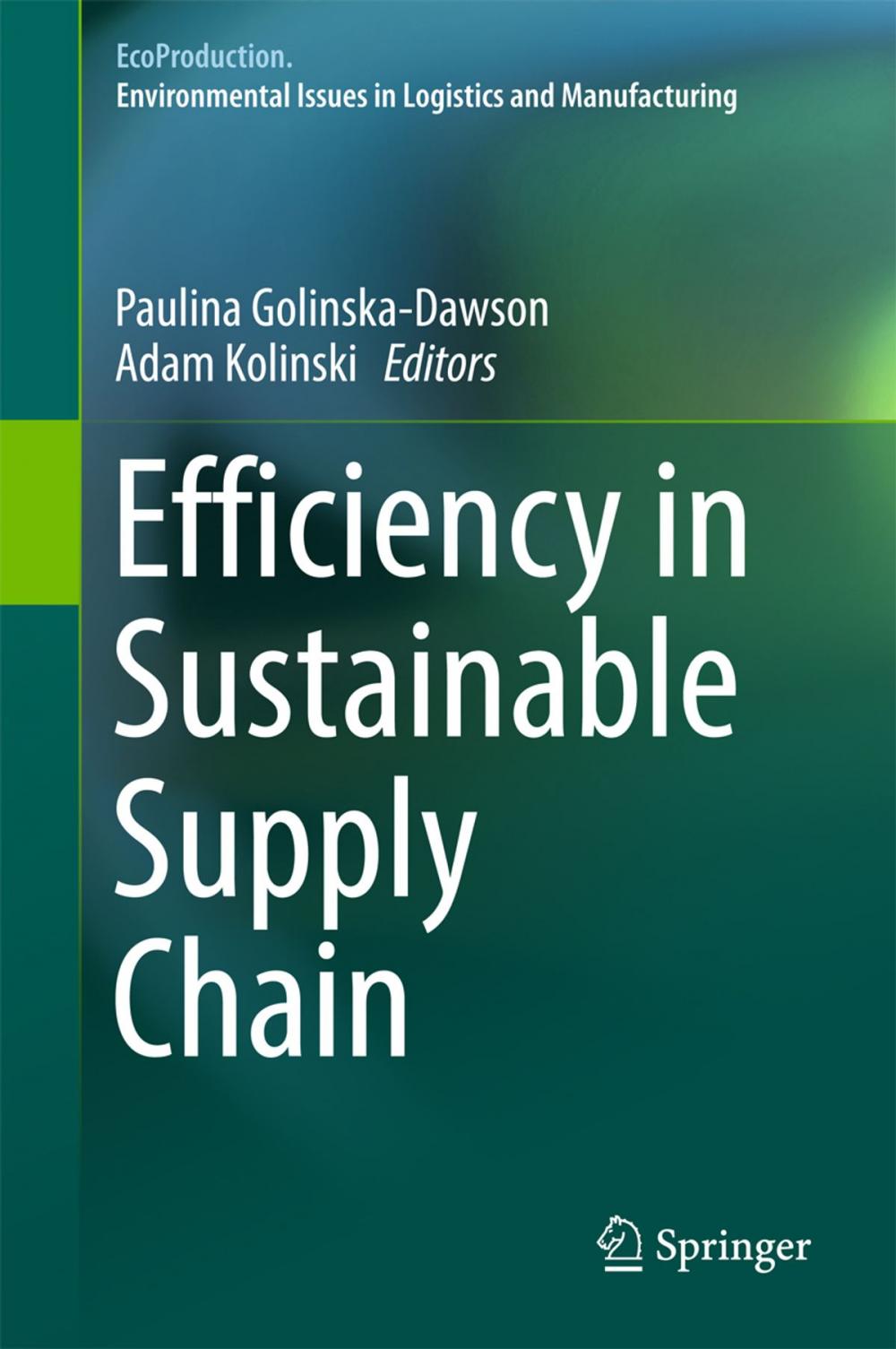 Big bigCover of Efficiency in Sustainable Supply Chain