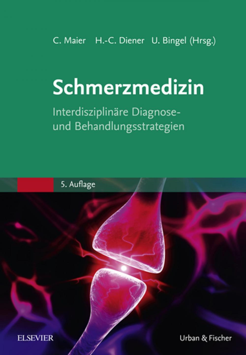 Big bigCover of Die Schmerzmedizin