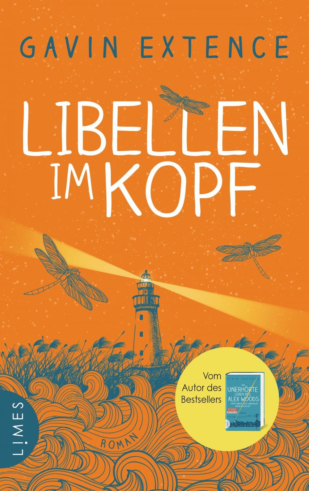 Big bigCover of Libellen im Kopf