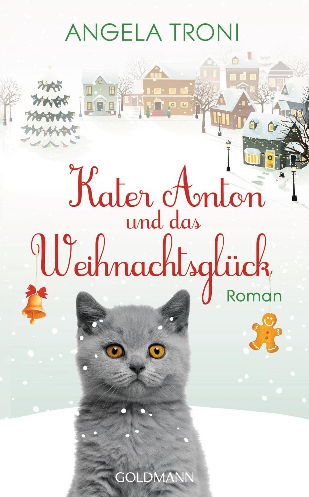 Big bigCover of Kater Anton und das Weihnachtsglück