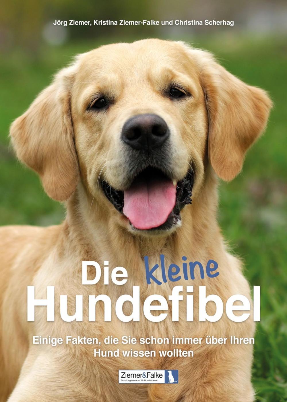 Big bigCover of Die kleine Hundefibel