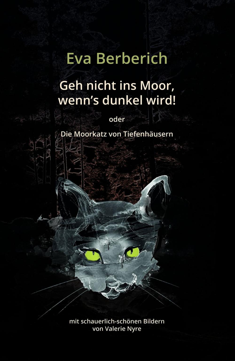 Big bigCover of Geh nicht ins Moor, wenn’s dunkel wird!