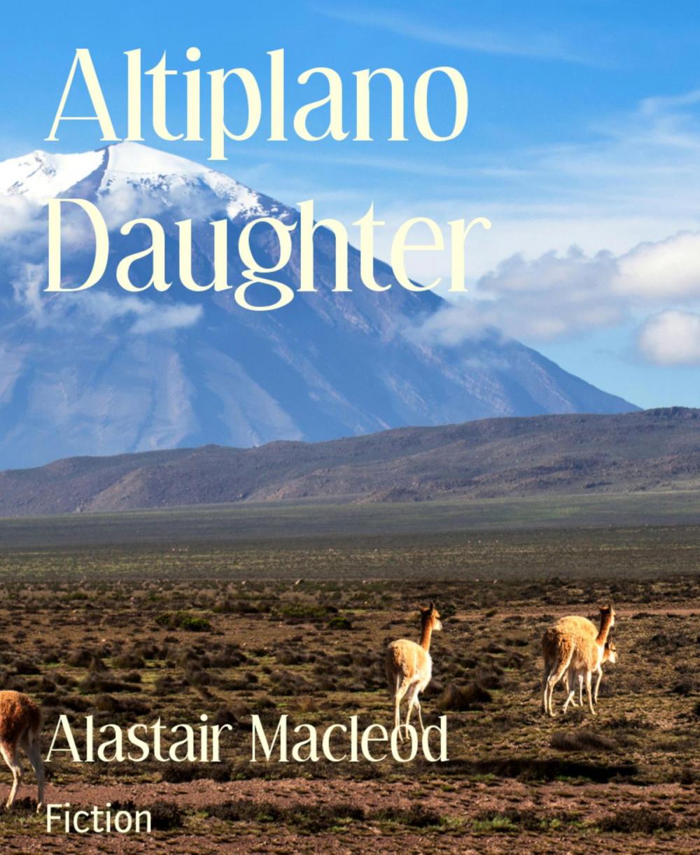 Big bigCover of Altiplano Daughter