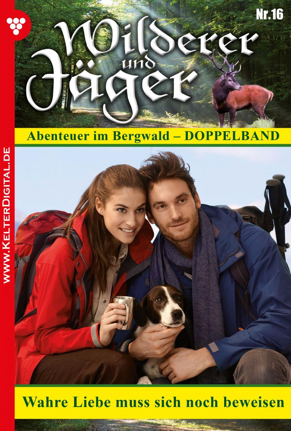 Big bigCover of Wilderer und Jäger 16 – Heimatroman