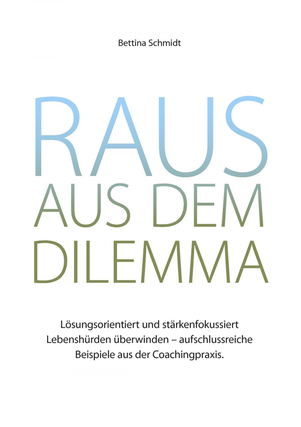 Big bigCover of Raus aus dem Dilemma