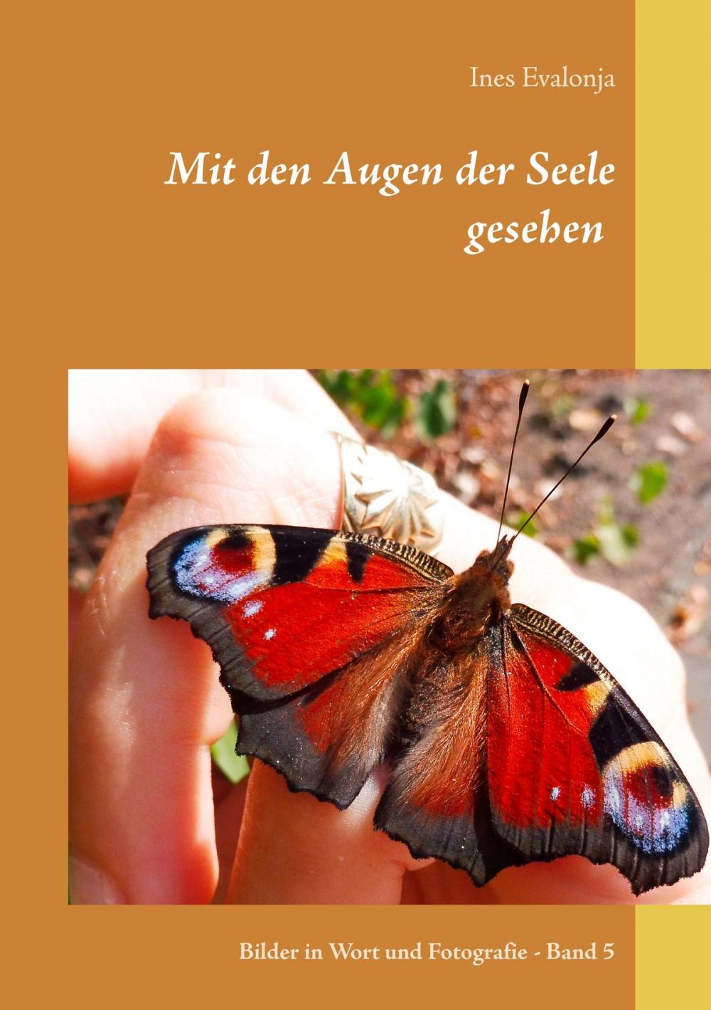 Big bigCover of Mit den Augen der Seele gesehen