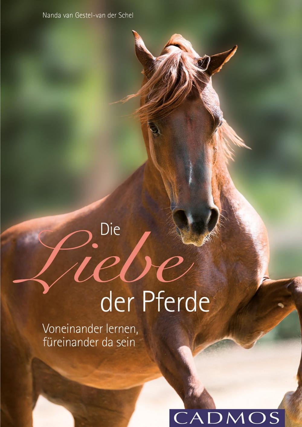 Big bigCover of Die Liebe der Pferde