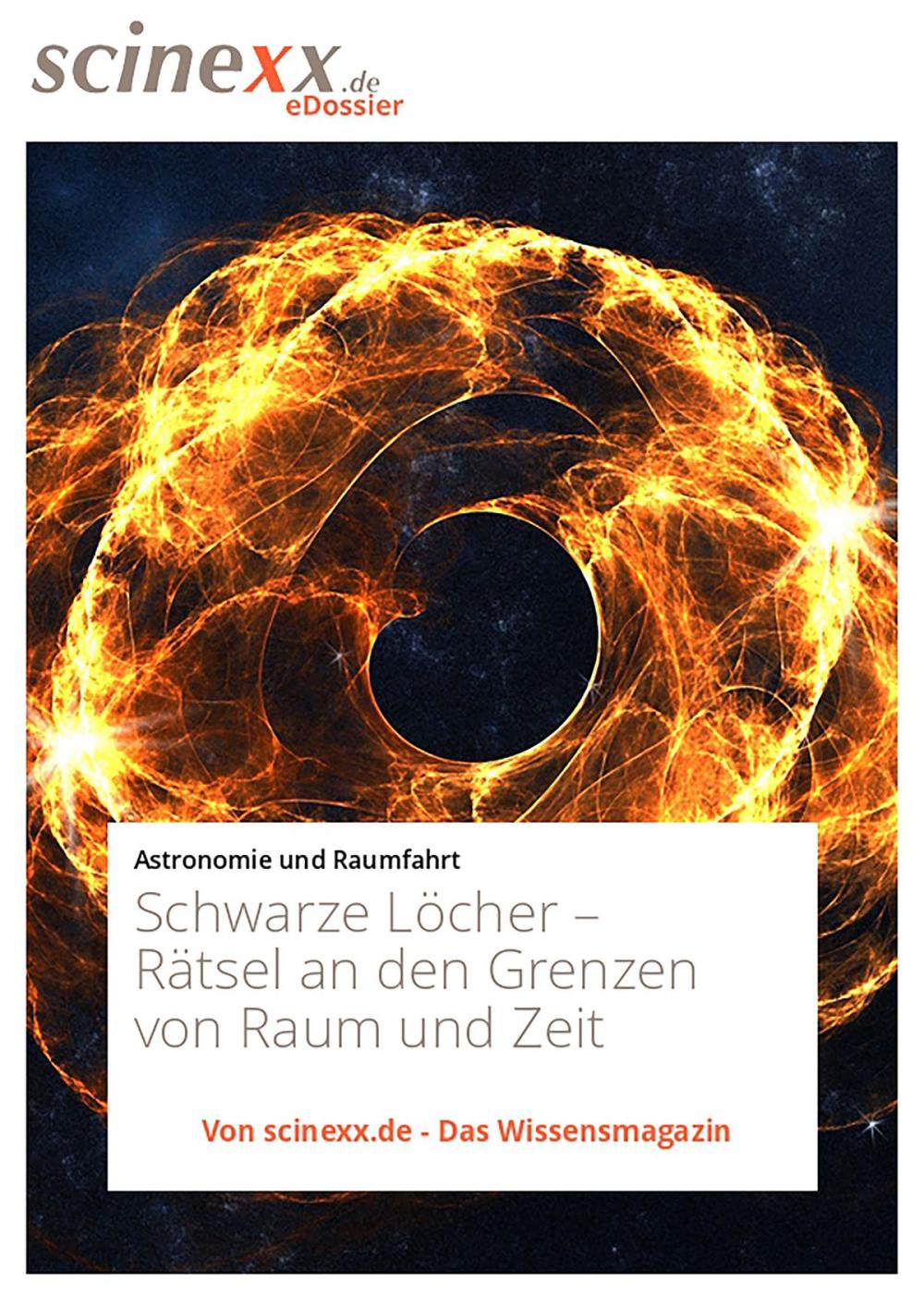 Big bigCover of Schwarze Löcher