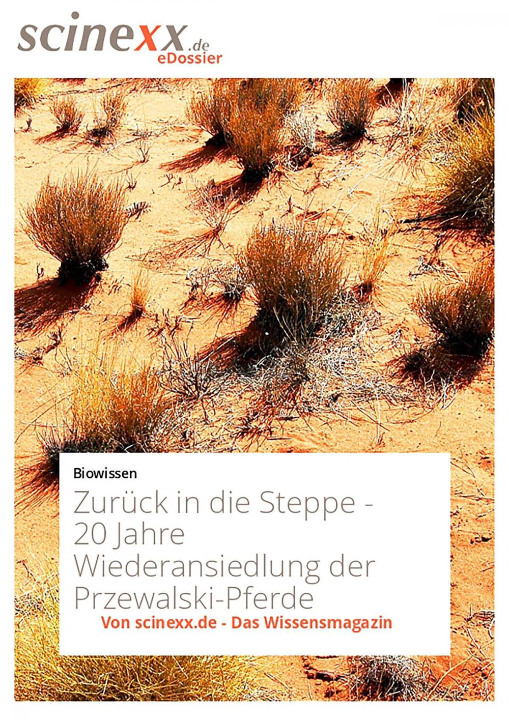 Big bigCover of Zurück in die Steppe