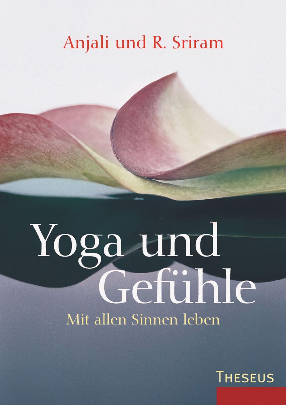 Big bigCover of Yoga & Gefühle