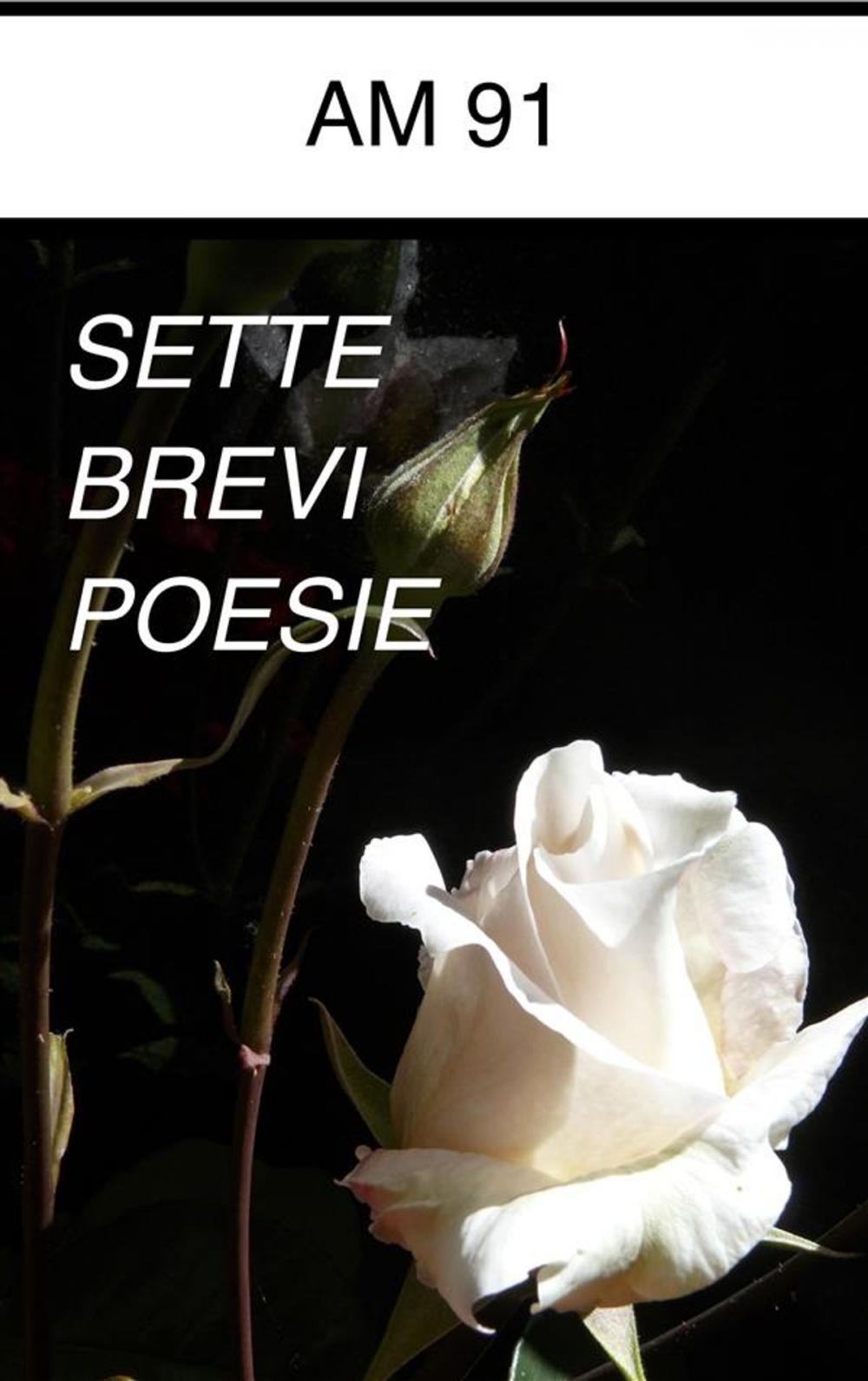 Big bigCover of Sette brevi poesie