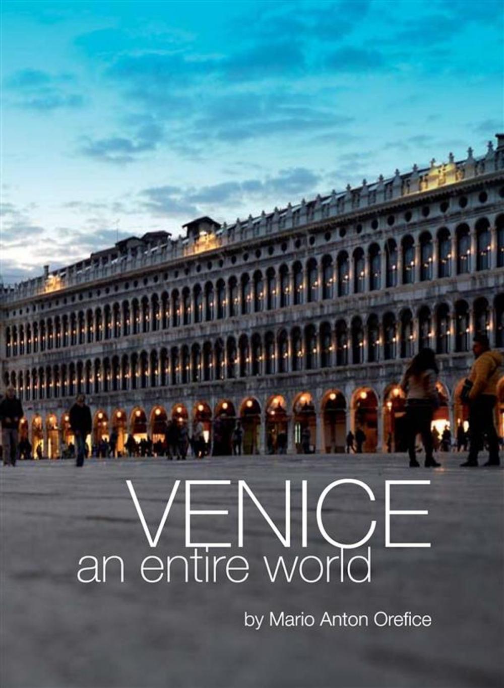 Big bigCover of Venice, an entire world