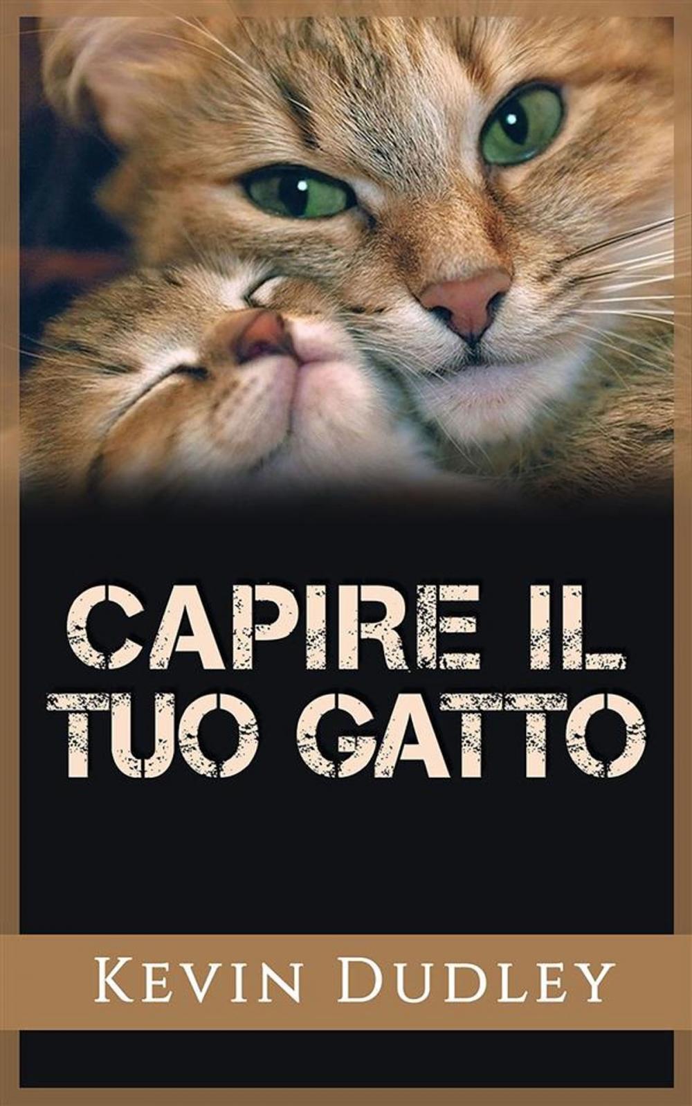 Big bigCover of Capire il tuo gatto