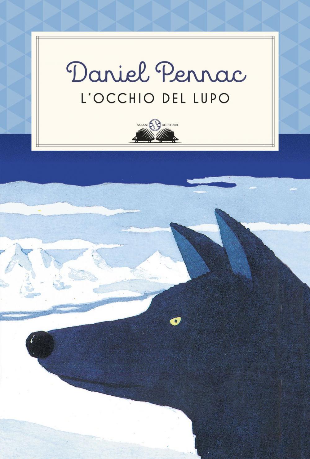 Big bigCover of L'occhio del lupo