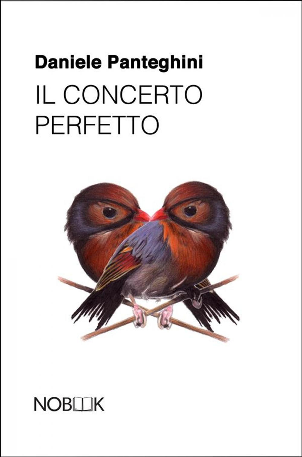 Big bigCover of Il concerto perfetto